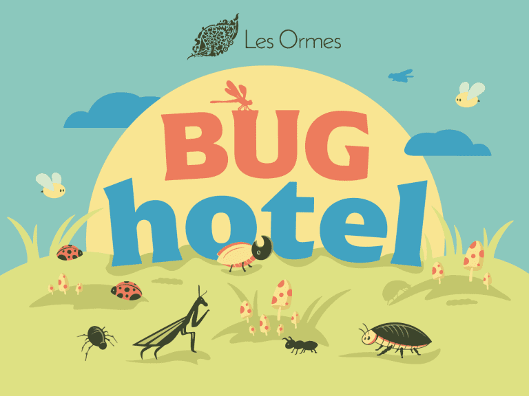 bug hotel